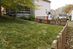 Fescue Sod-Bellevue, Franklin, Brentwood, Green Hills, Nashville
