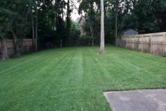 Lawn Care Service-Brentwood, Green Hills, Forest Hills, Nashville