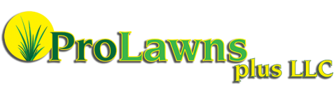 Nashville Lawn Care & Landscaping Services - ProLawns Plus